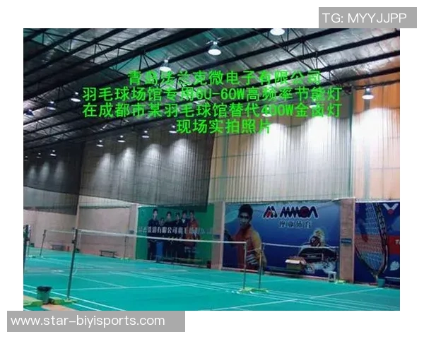 运动最新数据广州羽毛球队近期状态分析与表现评估全面解读